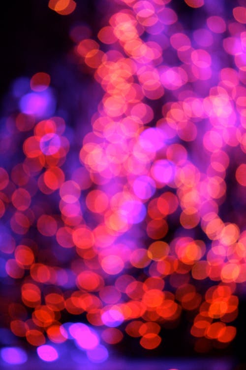 Free stock photo of christmas, color, light