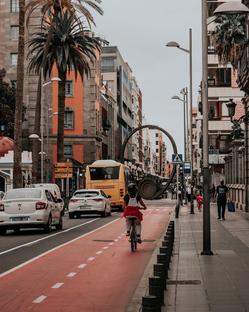 Free A cyclist rides through a bustling street lined with palm trees in Las Palmas, Spain. Stock Photo