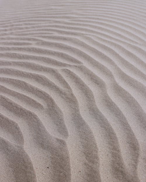 Бесплатное стоковое фото с волна, гофрированная, дюна