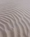 White Sand With Green Grass