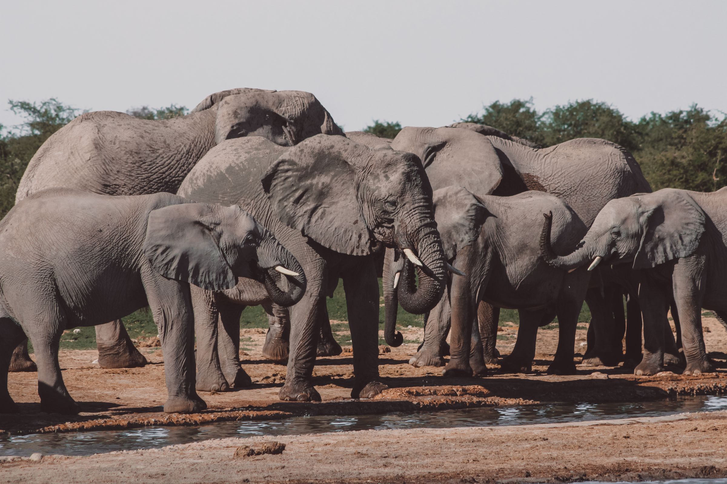 Hotel Hlosi Game Lodge