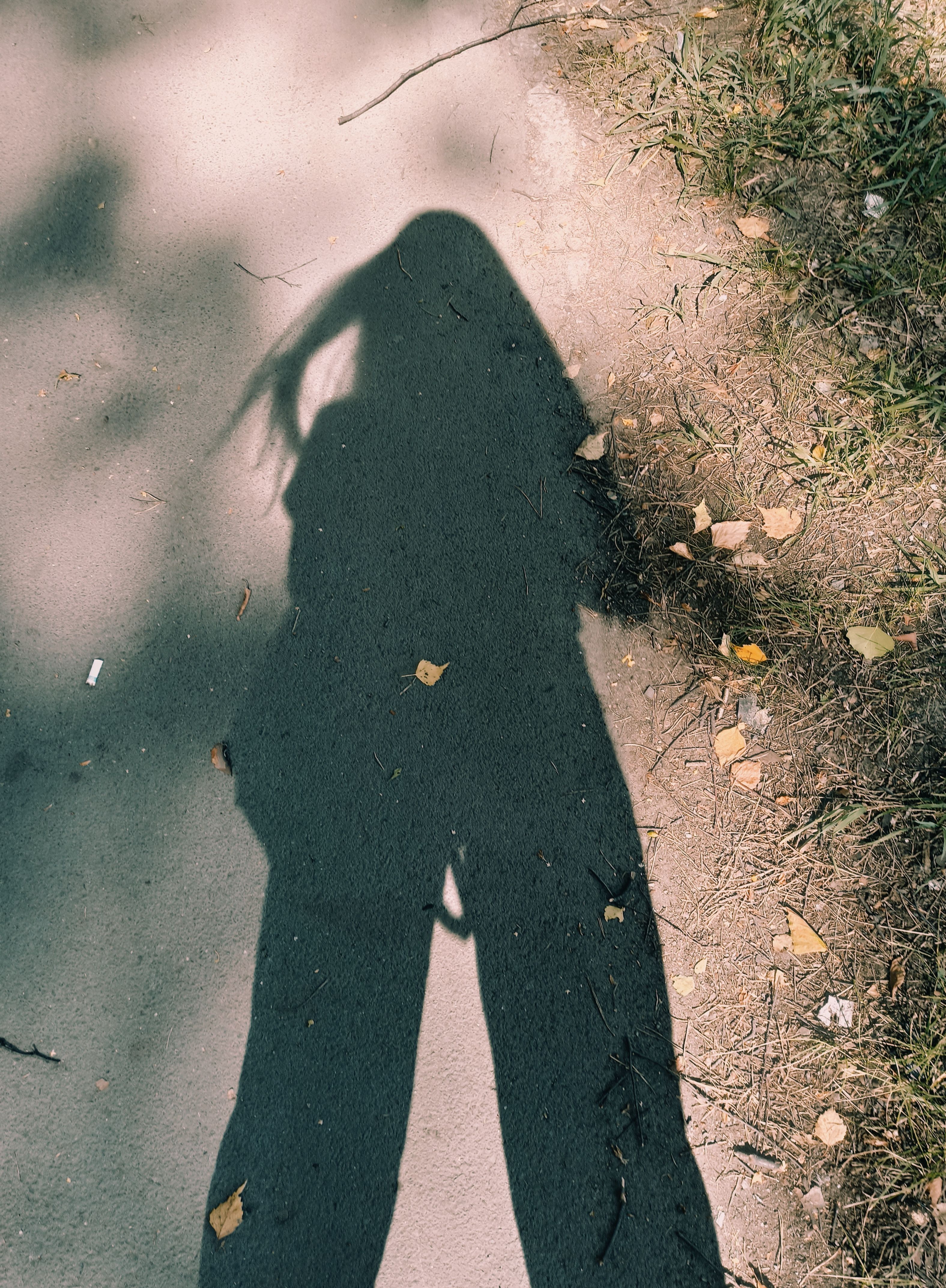 A silhouette of a person cast on a paved path surrounded by grass in bright sunlight.
