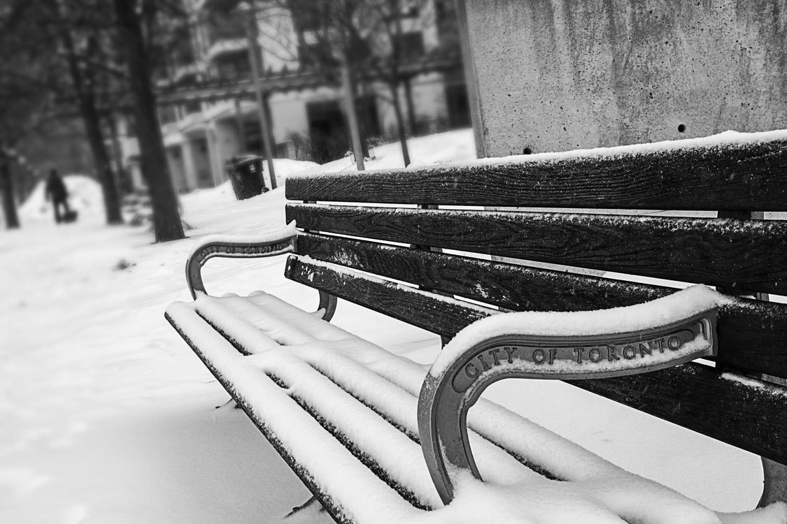 From Ice Rinks to Festivals: Your Guide to Seasonal Activities in Toronto 2 Gratis Fotografía Monocroma De Un Banco Cubierto De Nieve Foto de stock