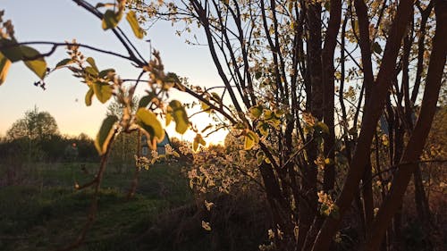 Gratis stockfoto met zonsondergang