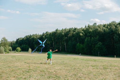 Free A carefree child runs in a sunny park flying a large kite against a forest backdrop. Stock Photo