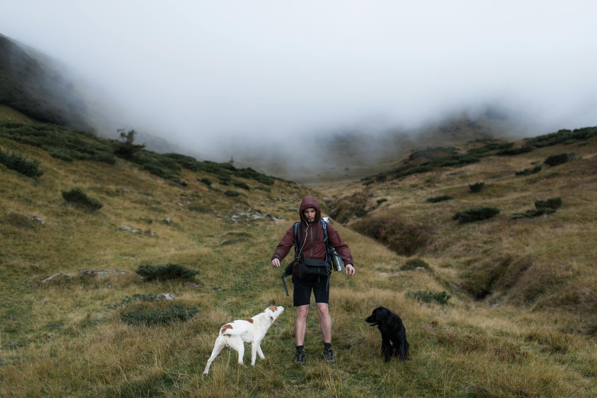 A Man with His Pets Hiking on the Foggy Mountain