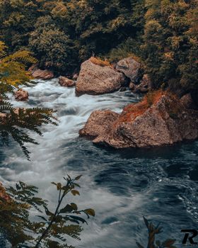 A tranquil river scene showcasing flowing rapids and large rocks surrounded by lush greenery.