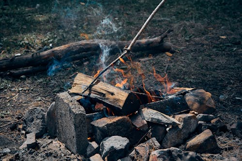 Gratis stockfoto met bonfire, brandend, brandhout