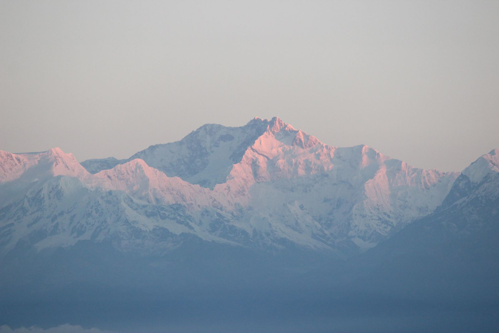 Kanchenjunga turning soft pink at sunrise above a pale blue haze, the view from the hills of the Eastern Himalaya
