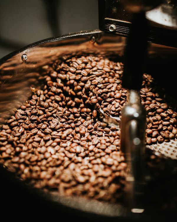Freshly roasted coffee beans turning in a roaster drum