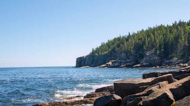 Beautiful coastal landscape with rocks and dense forested cliffs.