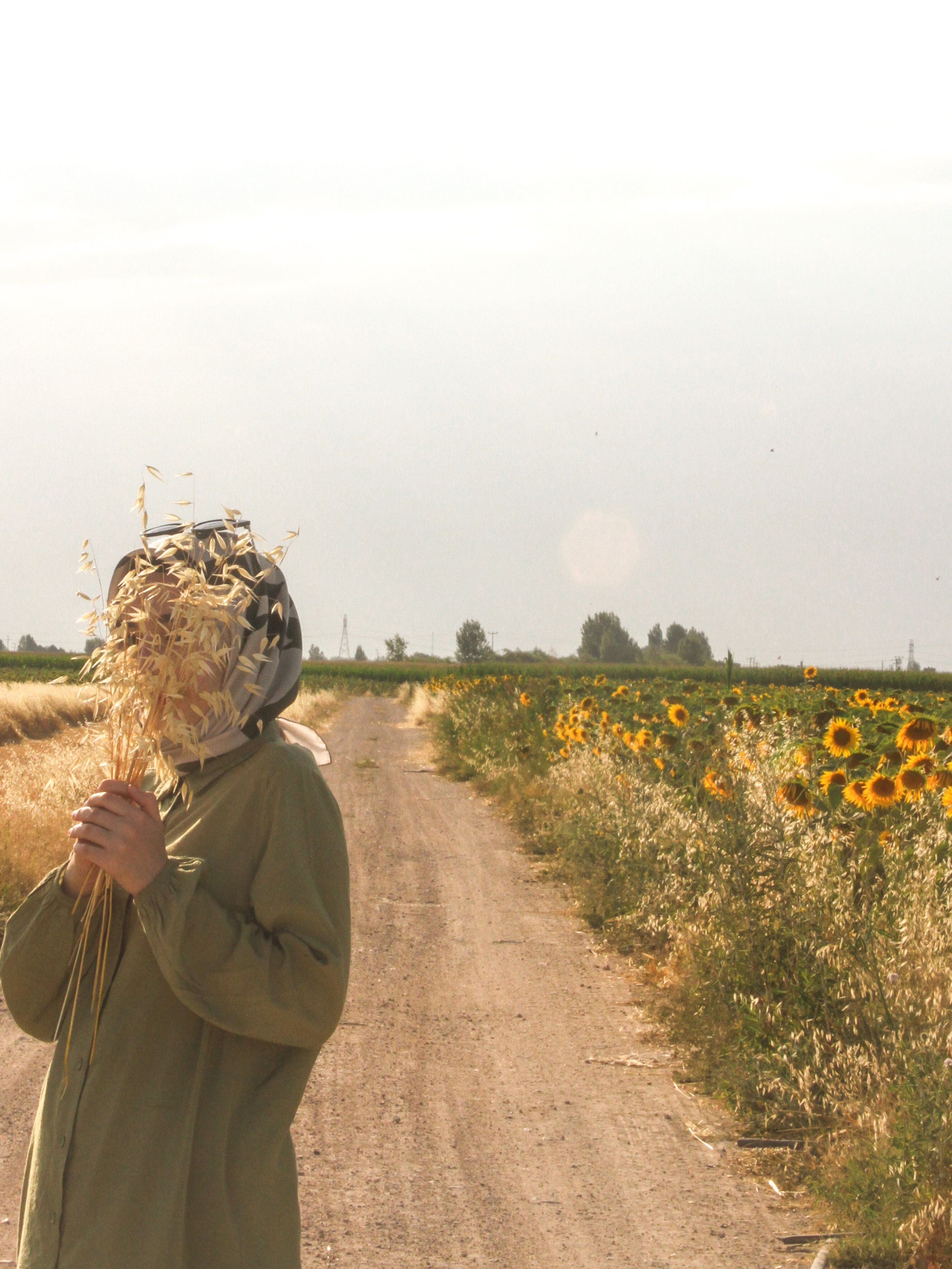 A serene countryside view of a woman holding wheat along a sunflower-lined dirt road.
