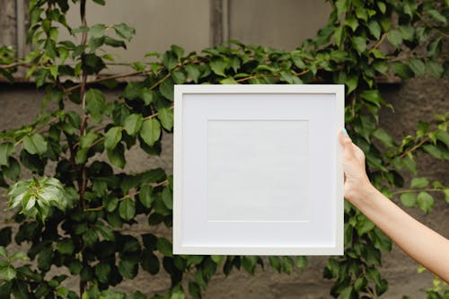 Person Holding White Wooden Frame
