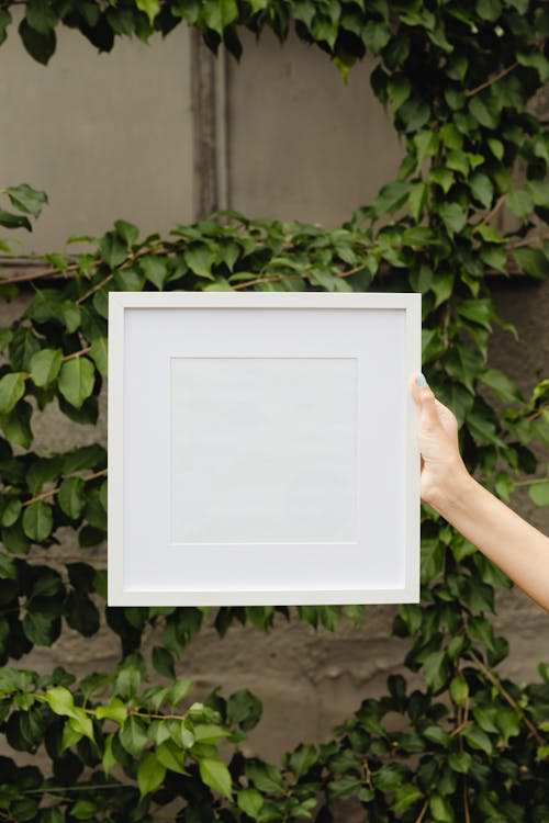 Person Holding an Empty Frame