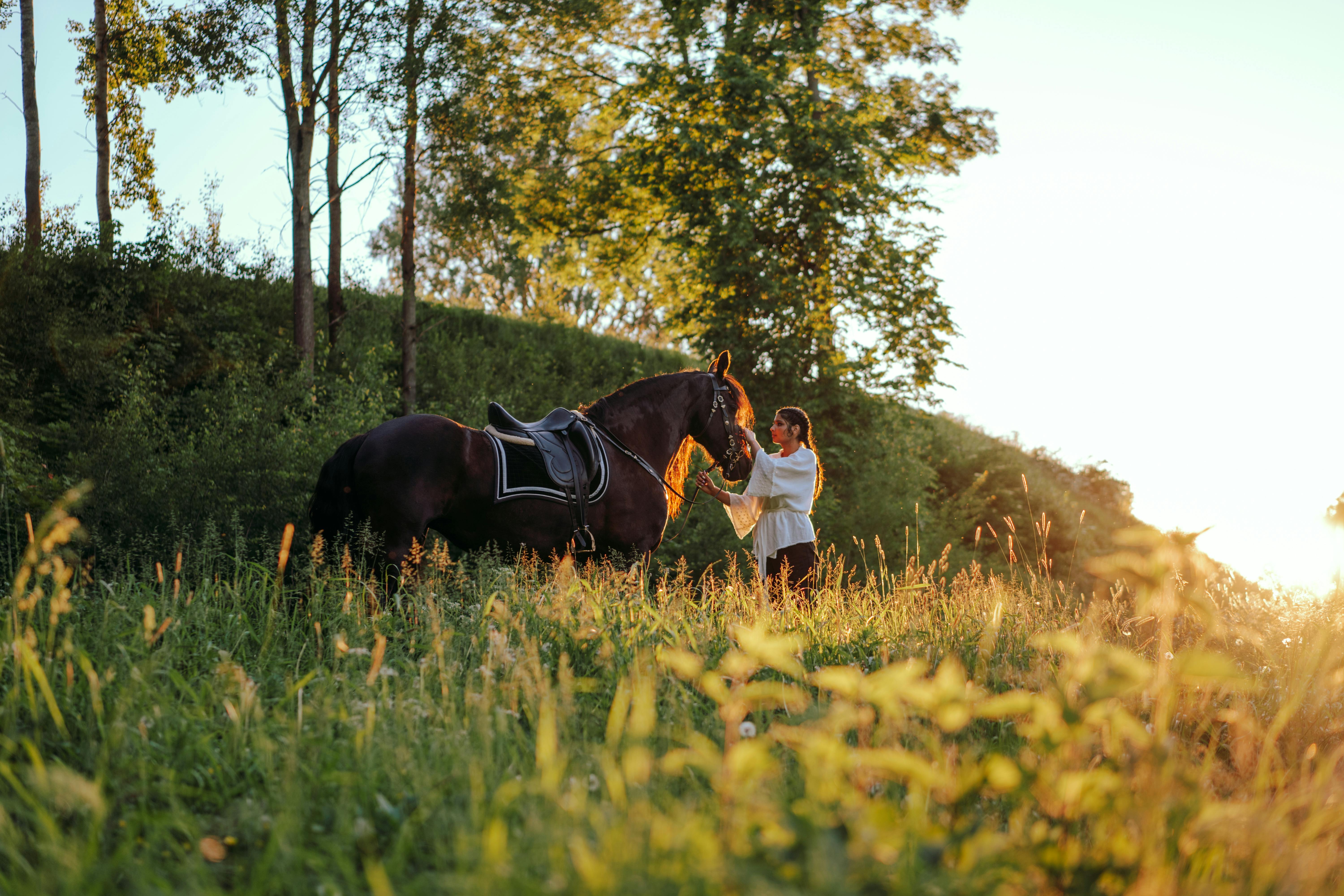 A woman standing with her horse in a green field during a warm sunset.