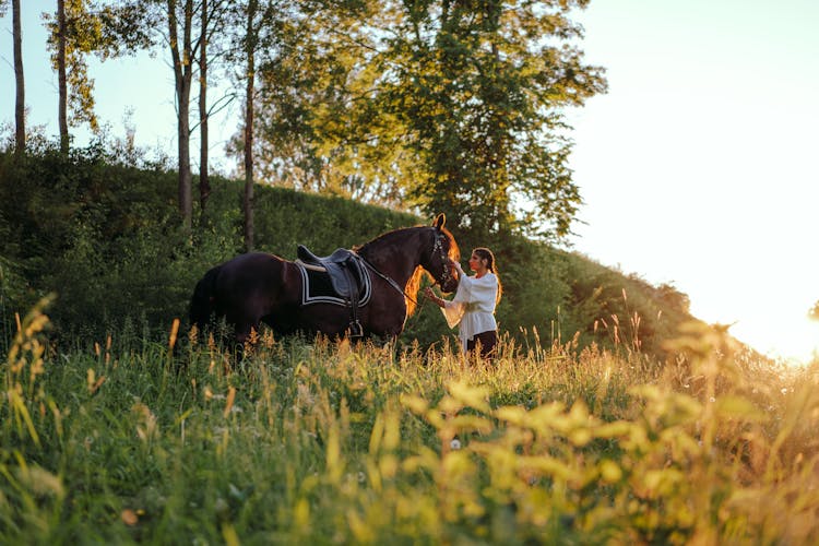 Woman Holding The Lead Of A Horse