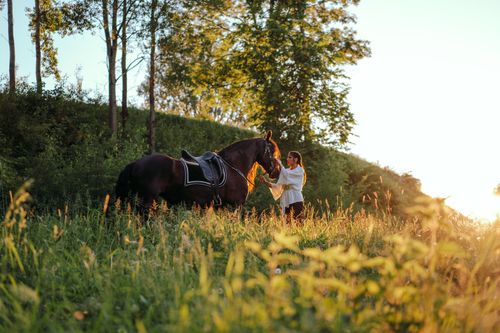 Free A woman standing with her horse in a green field during a warm sunset. Stock Photo