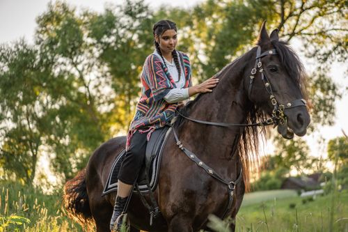Free Woman with braided hair riding a horse in a lush summer field. Stock Photo