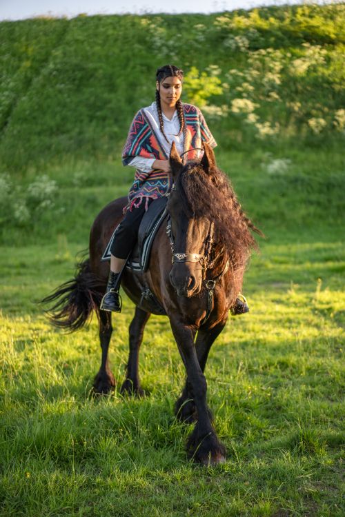 Free A woman rides a black horse outdoors in a scenic meadow during the day. Stock Photo