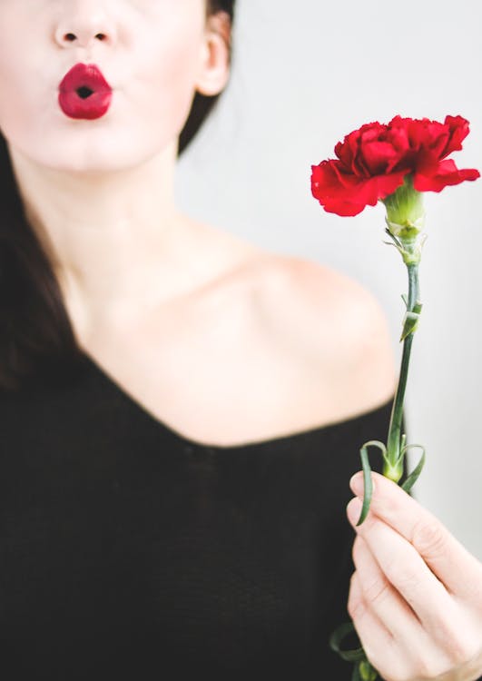Gratis Foto De Una Mujer Sosteniendo Una Flor De Clavel Rojo Foto de stock