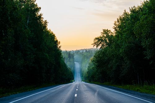 Free Beautiful asphalt road in a misty green forest during a sunset. Ideal for travel and nature themes. Stock Photo