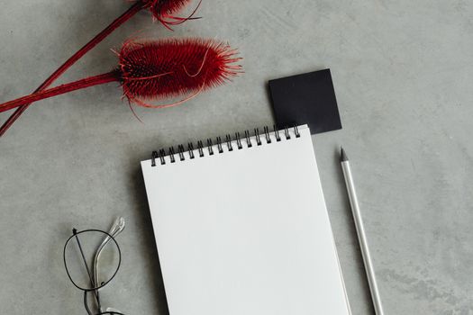Free stock photo of book bindings, business, copy space