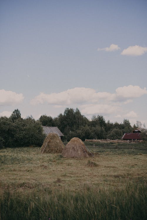 Kostnadsfri bild av åkermark, bondgårdar, by