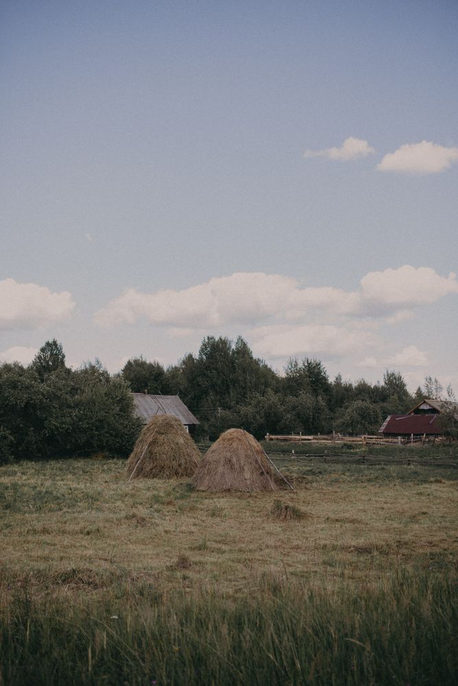 Rural Scene Photos, Download The BEST Free Rural Scene Stock Photos ...
