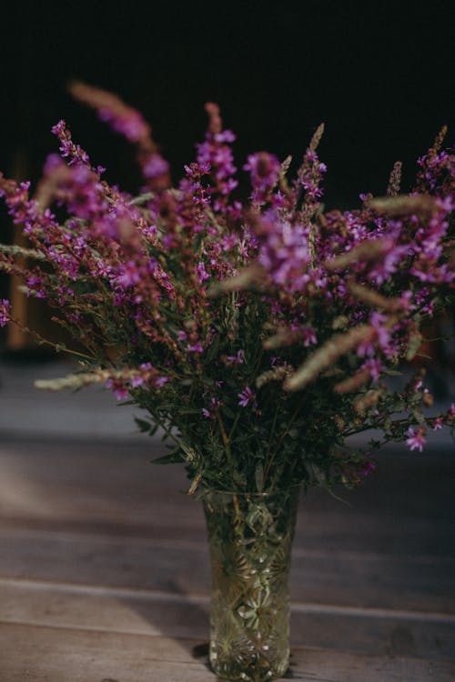 Kostnadsfri bild av blommor, bukett, dekoration