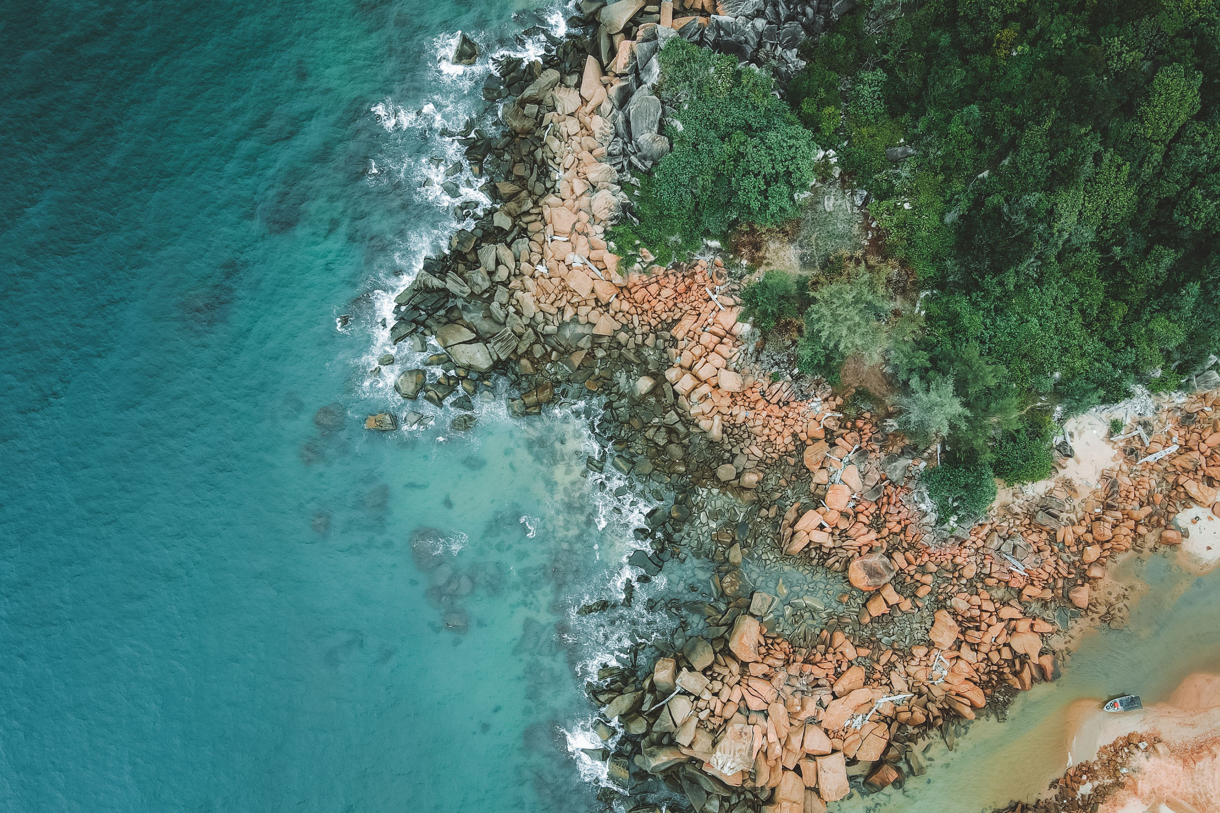 Magnetic Island Guide: Beaches, Wildlife and the Ferry from Townsville