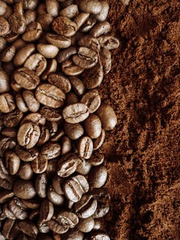 Detailed image of whole and ground coffee beans side by side, highlighting texture and richness.