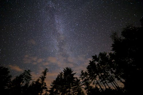 Immagine gratuita di cielo, galassia, notte