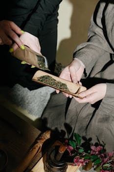 Close-up of hands sharing fresh herbal tea leaves in a cozy indoor setting.