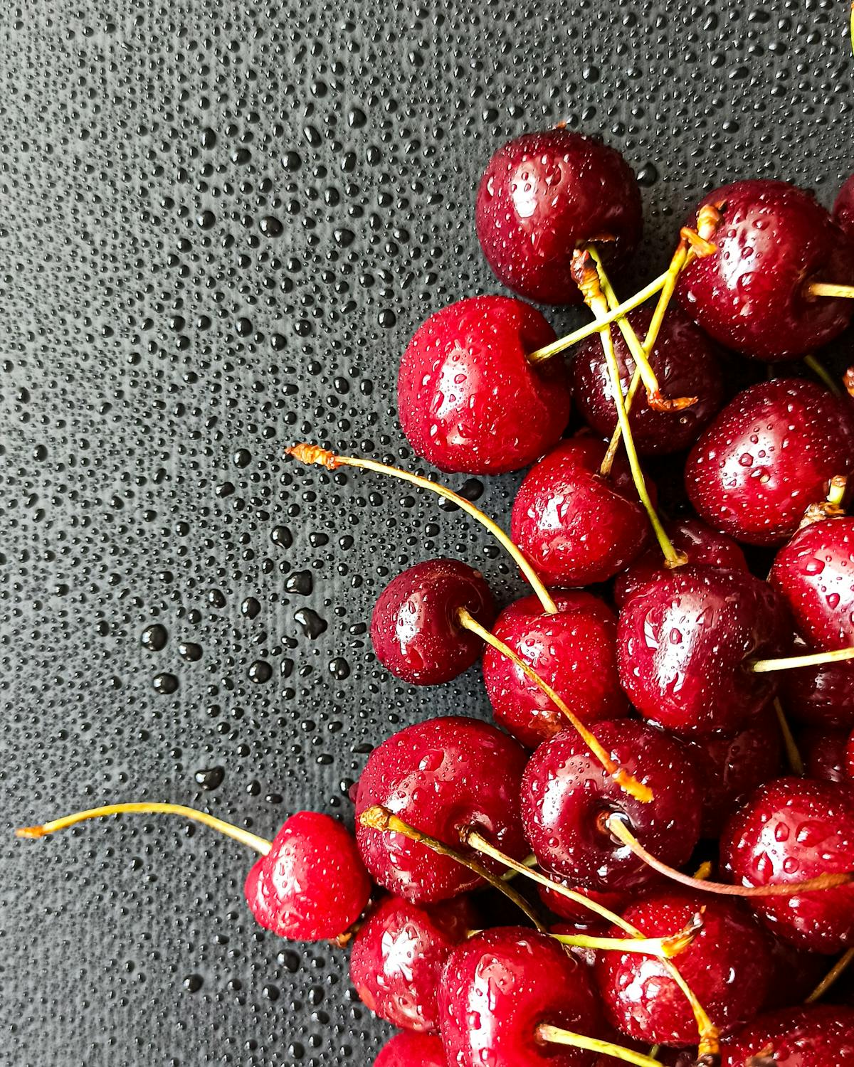 Blender filled with creamy white smoothie mixture
