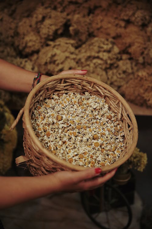 Woman Hands Holding Basket with Daisies Petals