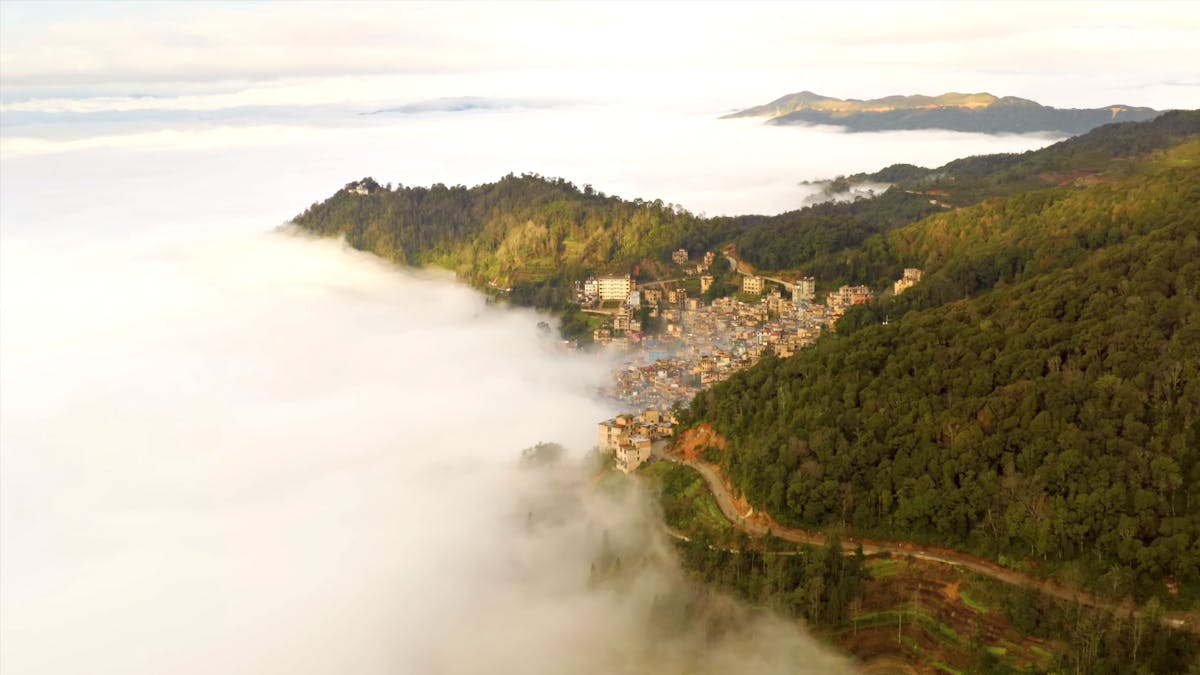 Whole grains simmering in a saucepan on the stovetop