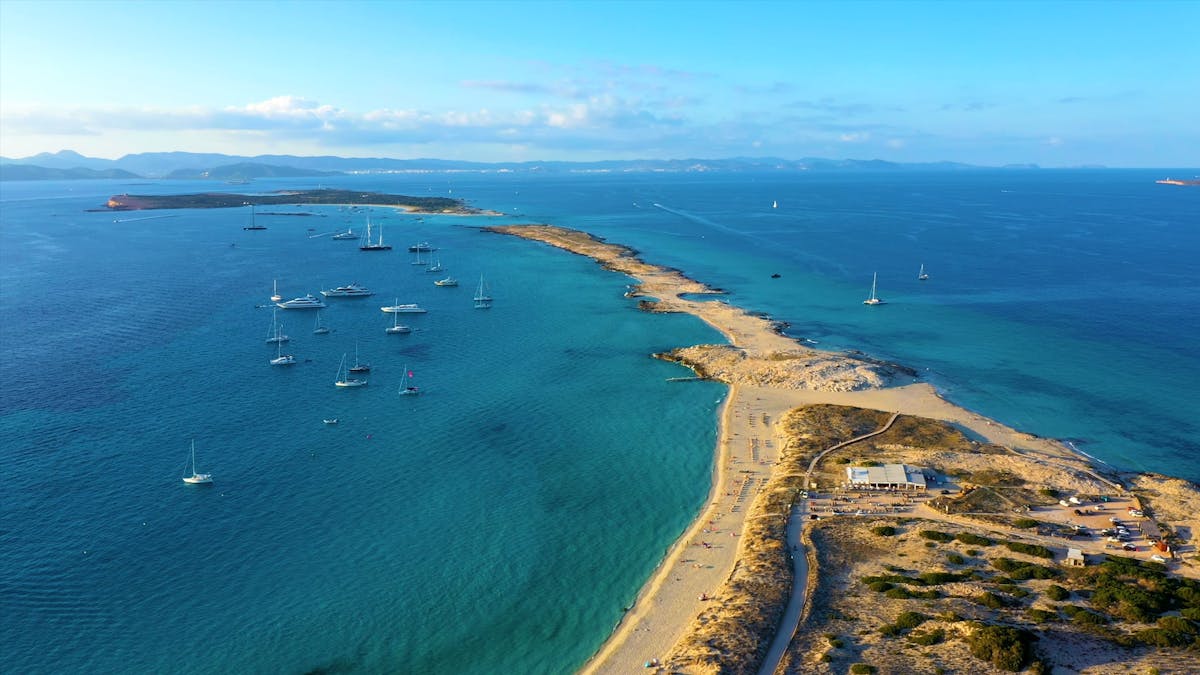 Minimalist Nordic-style dish plated on a stoneware plate