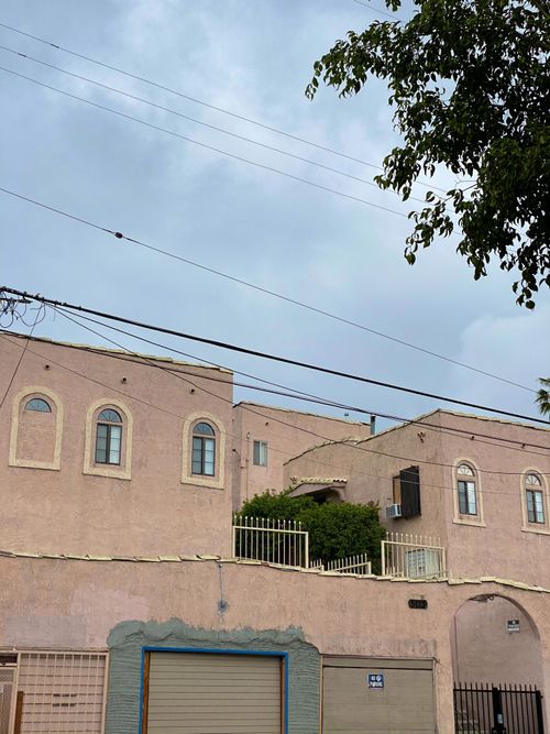 Free Exterior of aged building with windows near green plants and tree in city street under gray cloudy sky Stock Photo