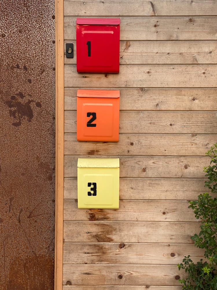 Colorful Mailboxes On Wooden Wall Near Door And Plant