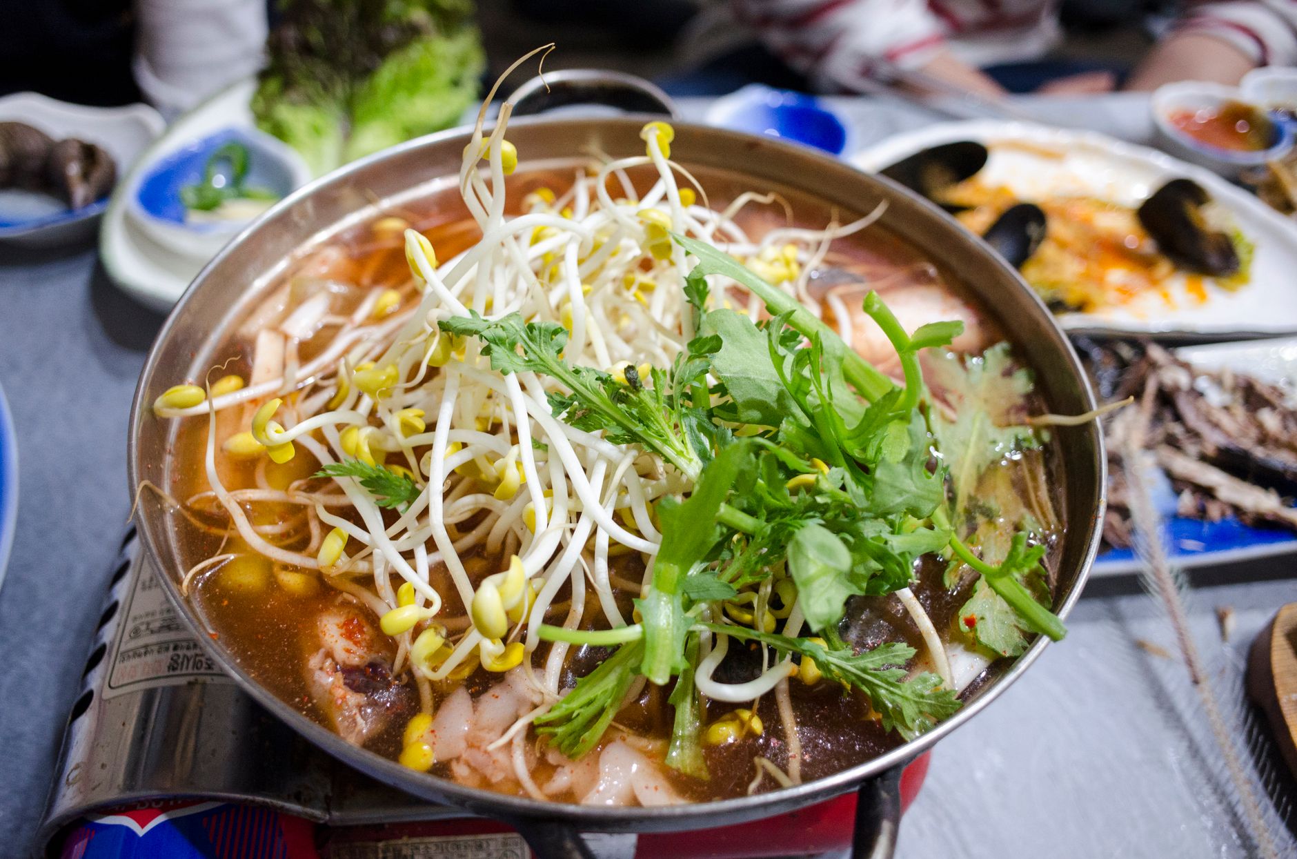 Close-up of a flavorful Asian soup with mung bean sprouts and greens, perfect for a hearty meal.