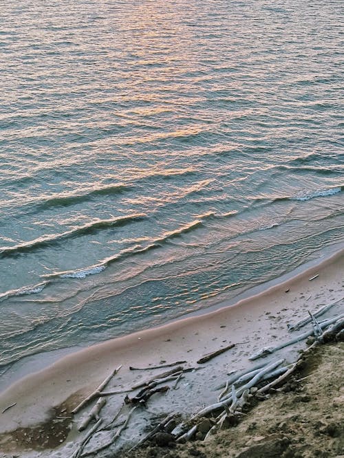 Бесплатное стоковое фото с вертикальный выстрел, вода, море
