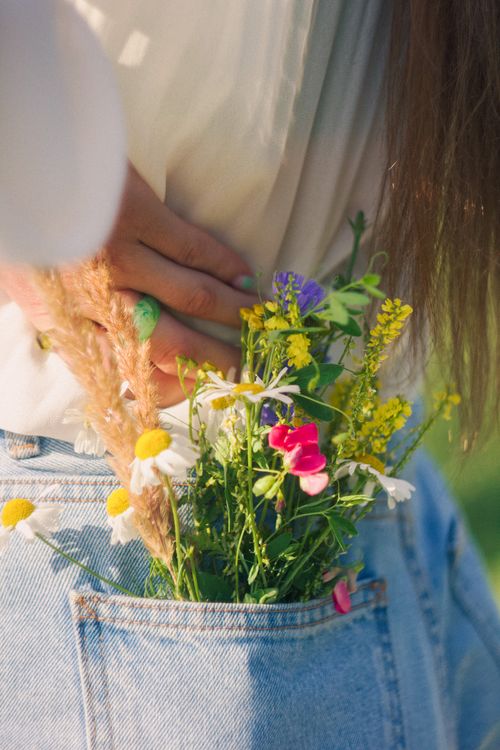Free Colorful wildflowers peeking from a denim pocket on a sunny day. Perfect for nature lovers. Stock Photo