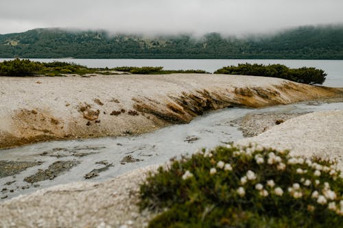 Бесплатное стоковое фото с озеро, окружающая среда, пейзаж