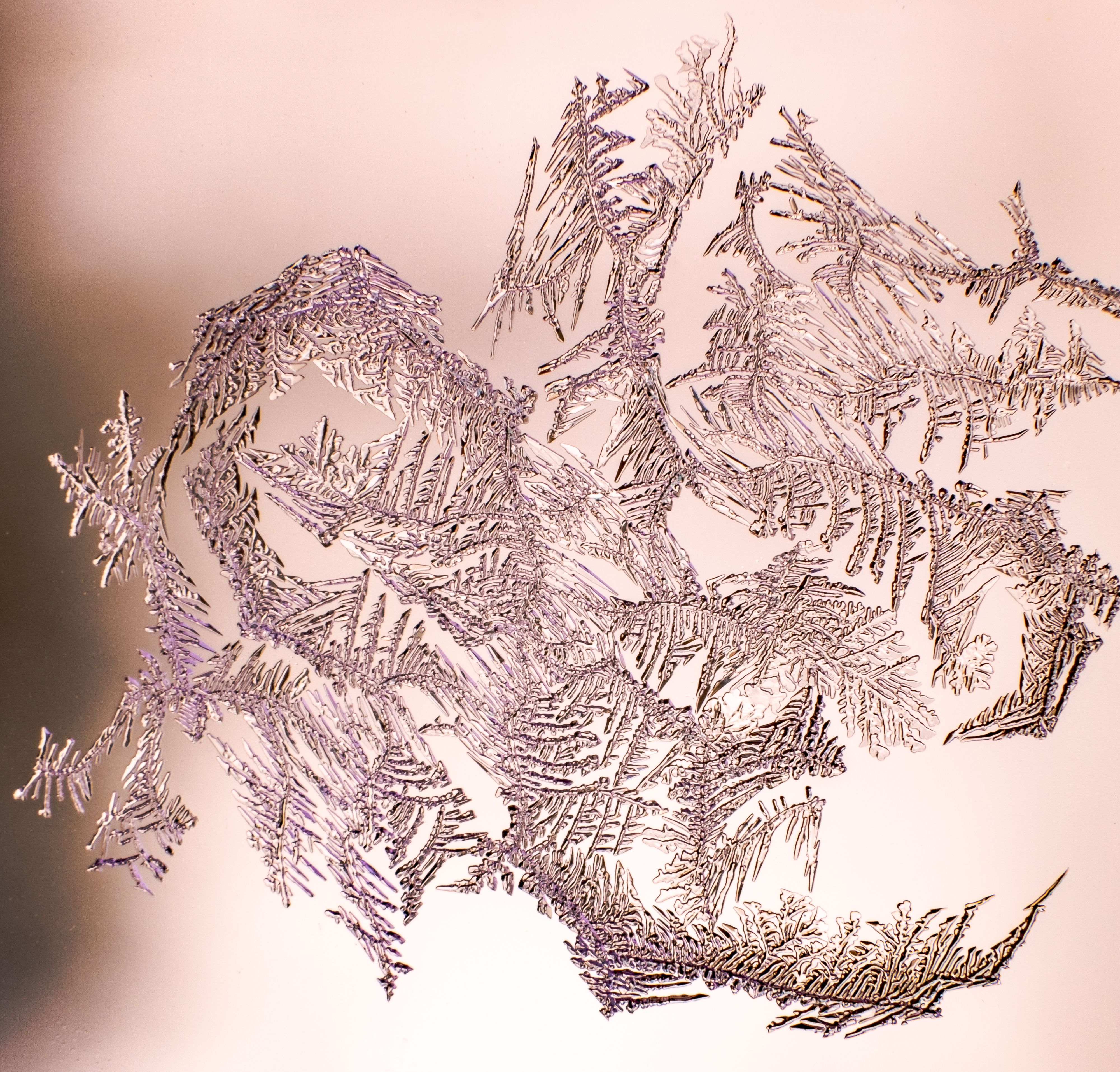 A close-up view of intricate frost patterns on glass, capturing the delicate beauty of winter.