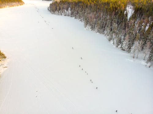 Gratis lagerfoto af droneoptagelse, forkølelse, fugleperspektiv