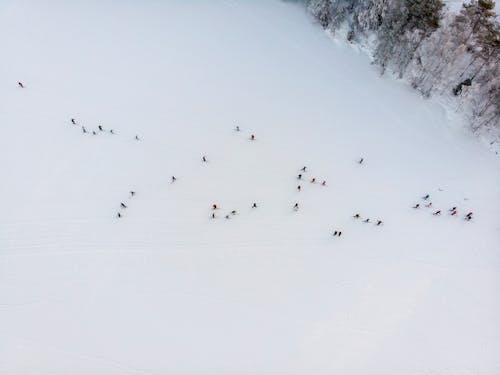 Ilmainen kuvapankkikuva tunnisteilla droonikuva, hiihtäjiä, hiihtäminen