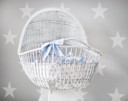 Baby's White and Gray Star Printed Bassinet