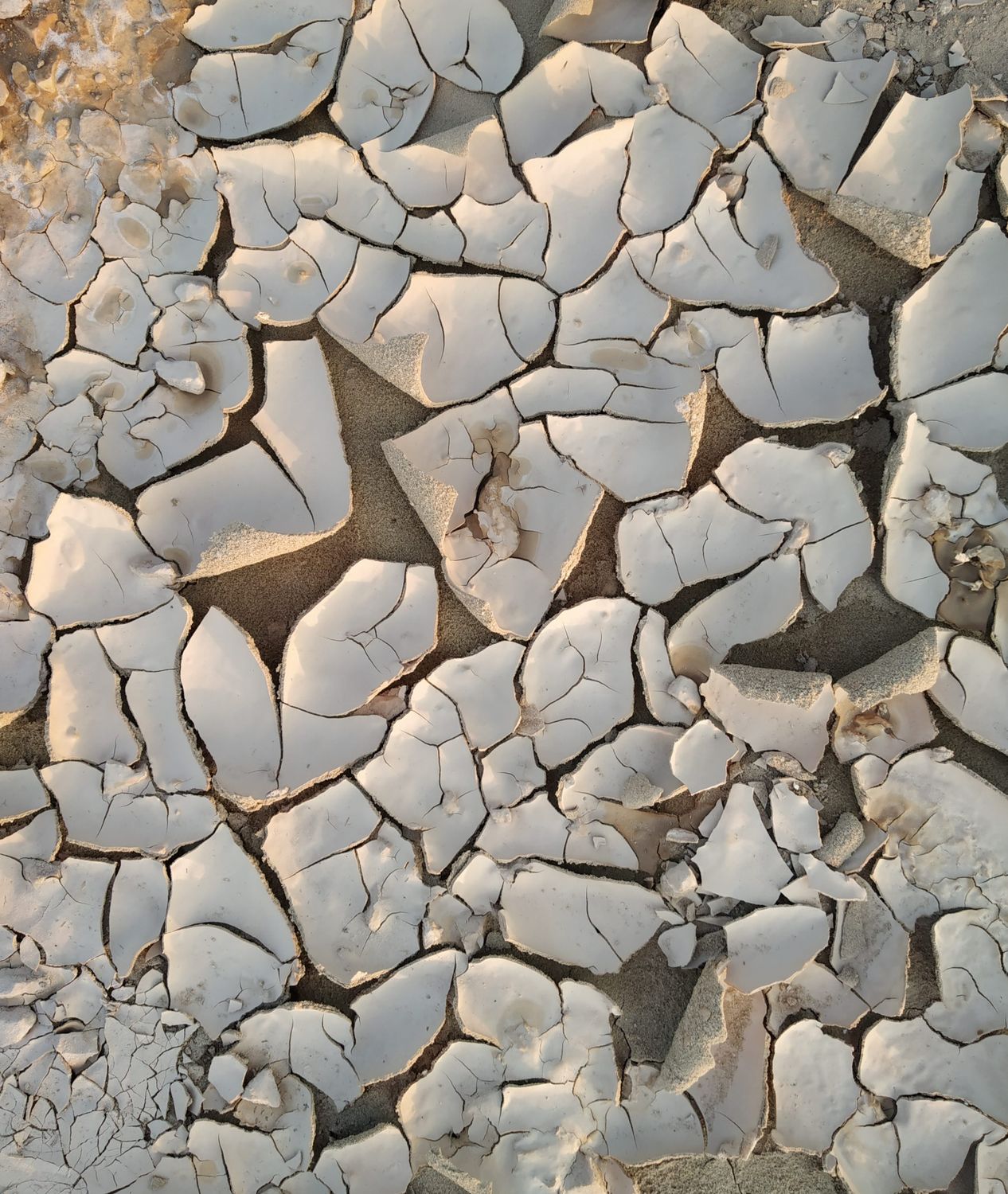 Close up of Cracked Rocks · Free Stock Photo
