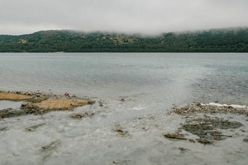 Foto stok gratis alam, awan, danau