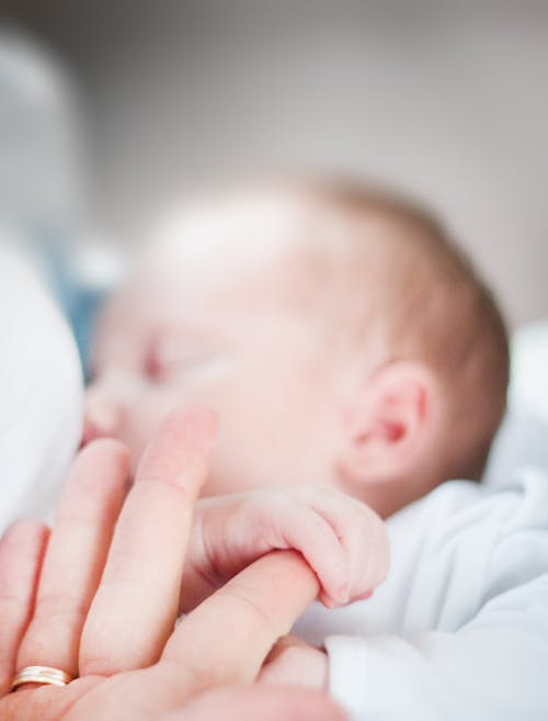 Tilt-shift Lens Photo of Infant's Hand Holding Index Finger of Adult